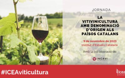 «El consum de vi de les DO catalanes a Catalunya ha passat del 28% (any 2010) a prop del 50% actualment»