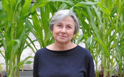 Entrevista a Mª Isabel Trillas Gay, fundadora de l’empresa Biocontrol Technologies i membre de la Societat Catalana de Patologia Vegetal