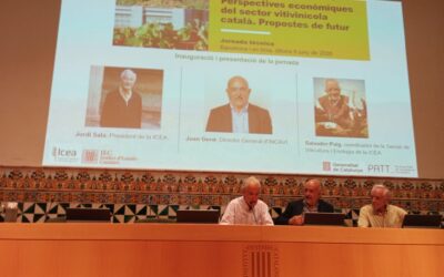 Perspectives econòmiques del sector vitivinícola català: Propostes de futur