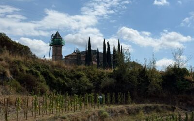 Visita a la vinya experimental d’Eugeni Ordeig a Osona